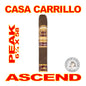 CASA CARRILLO ASCEND CIGARS